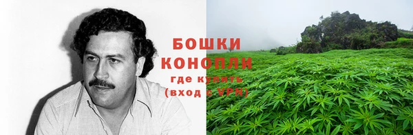 амф Нефтегорск