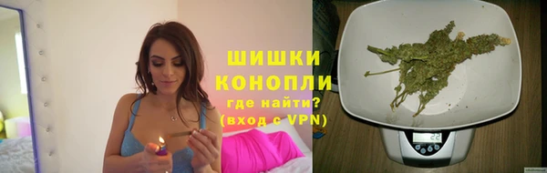 ГАЛЛЮЦИНОГЕННЫЕ ГРИБЫ Навашино