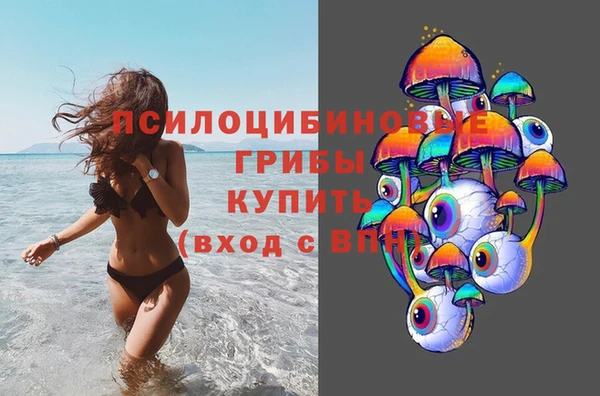 ГАЛЛЮЦИНОГЕННЫЕ ГРИБЫ Навашино