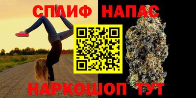индика Ипатово