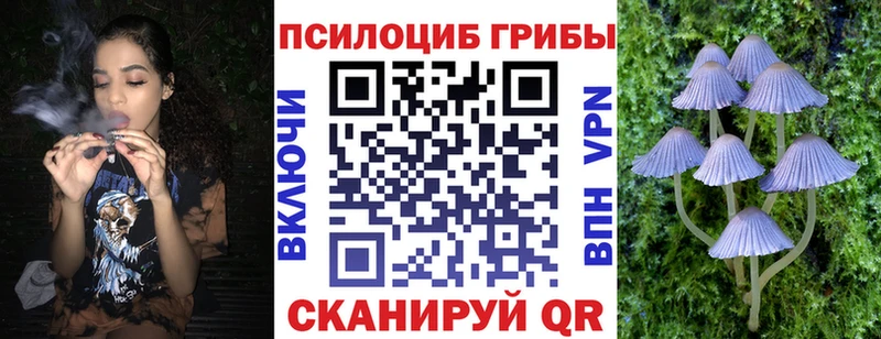 купить закладку  Новоуральск  Галлюциногенные грибы ЛСД 