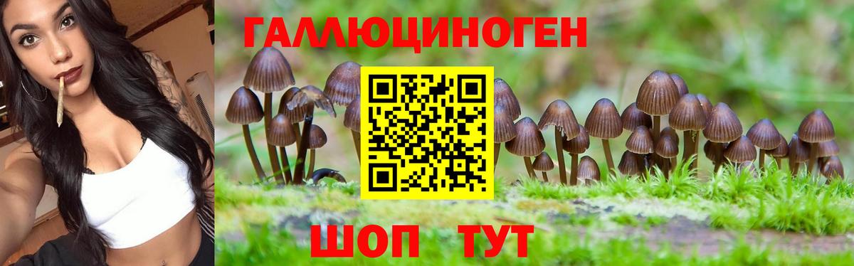 магазин продажи   Галлюциногенные грибы Cubensis  Вход с VPN  Новоуральск 